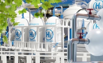 Hydrogen Horses: Is this the Future of Clean Mobility?