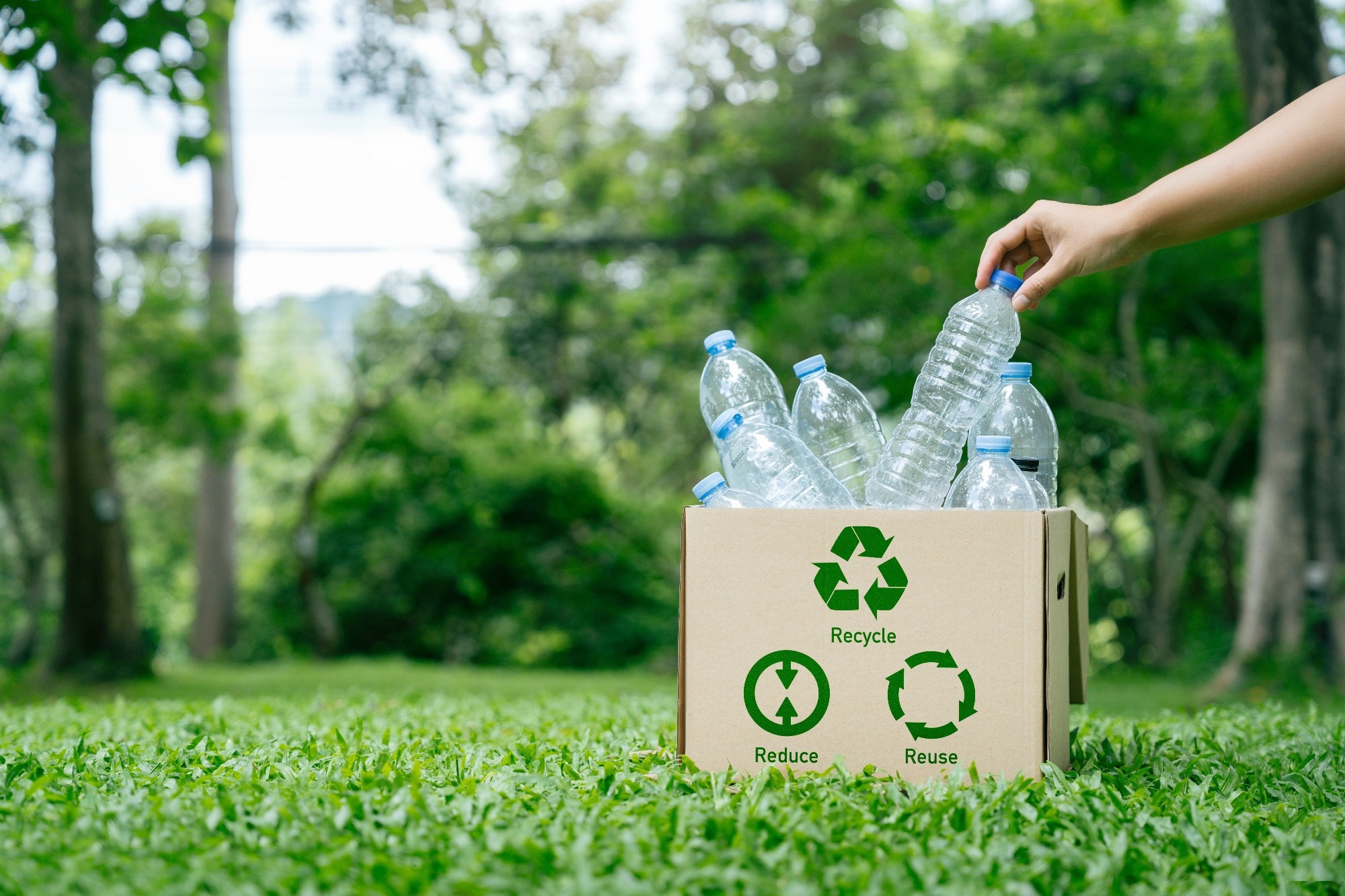 Hand holding plastic bottle put in a box recycling to assortment management for sustainable environment.