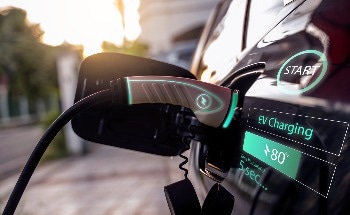 Forest Areas the Size of 18 Football Fields Destroyed Every Day for EVs, New Study Finds